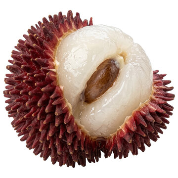 Peeled pulasan fruit revealing white flesh on transparent background PNG