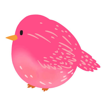 Cute pink bird adorable small animal sweet illustration