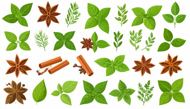 Various green leaves and spices.