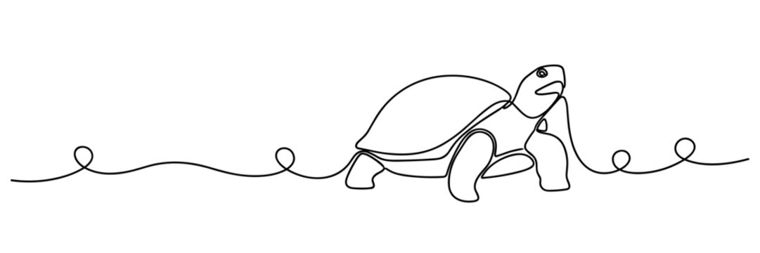 Turtle walking along continuous line illustration scene, none editable strokes