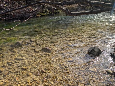 Ruscello poco profondo che scorre tra rocce stratificate, con rami spogli sul bordo e acqua limpida in movimento