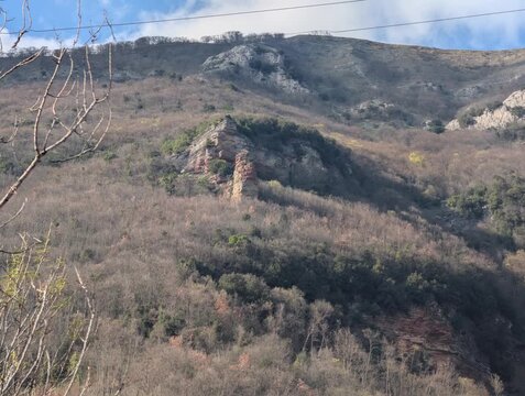 Paesaggio montano con imponente formazione rocciosa e bosco spoglio, sotto un cielo parzialmente nuvoloso
