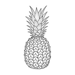 Fototapeta premium Detailed black and white engraving style illustration of a pineapple