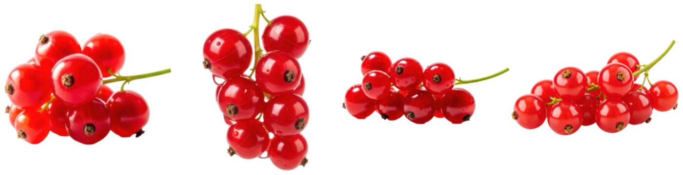 Vibrant clusters of fresh red currants photograph, showcasing healthy berries on transparent background.