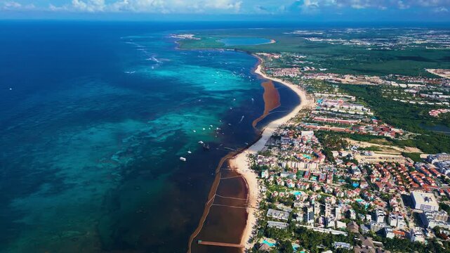 Tropical coastal town and beach resorts covered by sargassum seaweed. Drone view