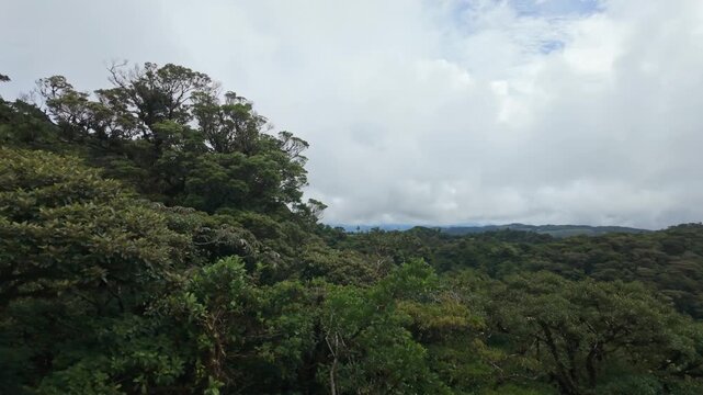 A breathtaking view of Monteverde's lush cloud forest in Costa Rica, showcasing dense greenery and a misty, cloudy sky, embodying the beauty of tropical biodiversity and natural conservation.