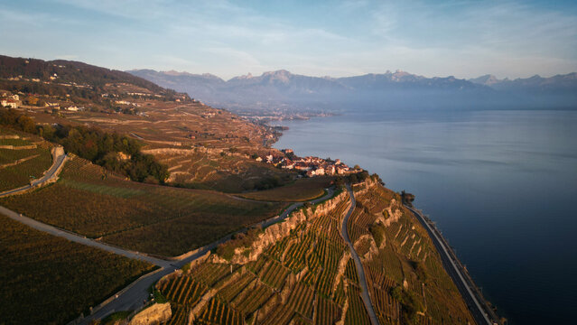 Aerial view of terraced vineyards cascade towards the tranquil lake, nestled against a backdrop of distant, snow-capped mountains, Bourg-en-Lavaux, Vaud, Switzerland.