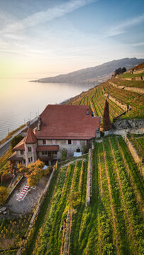 Aerial view of a medieval castle nested among the terraced vineyards overlooking the tranquil lake against a soft sunset backdrop, Bourg-en-Lavaux, Vaud, Switzerland.