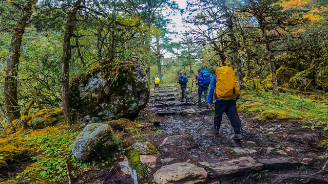 Hiking In The Great Himalayan Trail In Nepal.