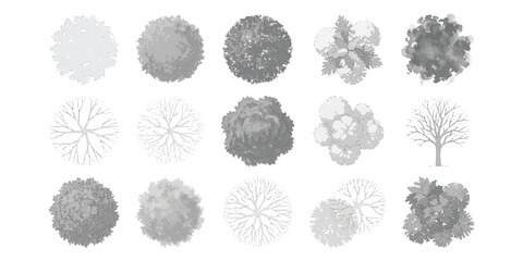 Architectural landscape plan symbols with top view tree and shrub icons for garden site map vector illustration © md