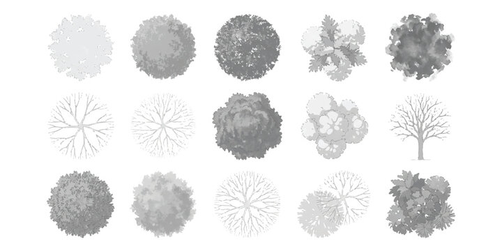 Architectural landscape plan symbols with top view tree and shrub icons for garden site map vector illustration