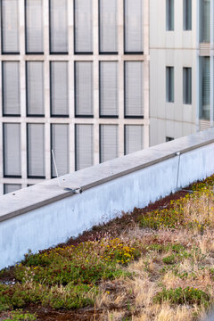 Modern office building in frankfurt germany with green roof grass highlights urban architecture and sustainability through rooftop landscape design