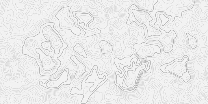 Seamless topographic contour map pattern with detailed mountain relief lines
Clean white background with abstract geographic elevation line texture