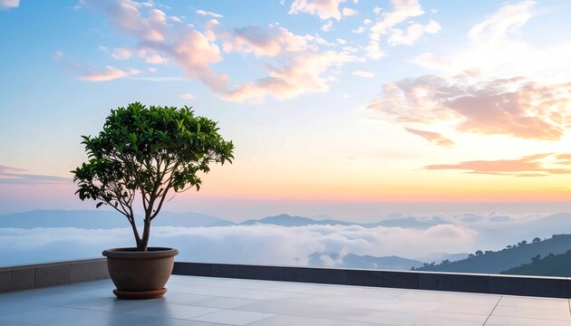 Small Green Potted Tree on a Modern Terrace Overlooking a Majestic Sea of Clouds and Mountains at Sunset, Peaceful Zen Concept Background with writing space, Minimalist Landscape Design
