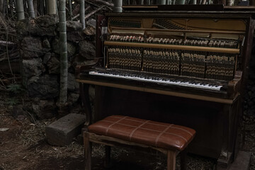 Exposed Upright Piano in a Bamboo Grove © 준환 현