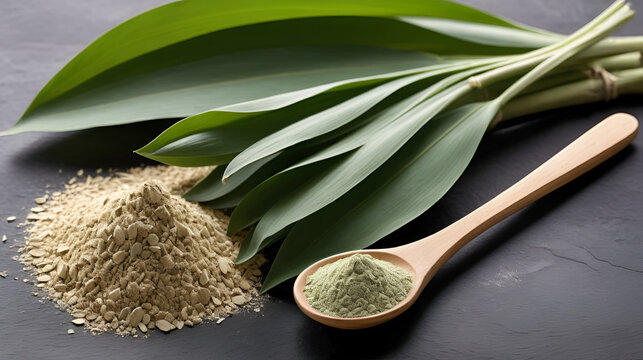 Fresh and dried Acorus calamus roots, also known as sweet flag, calamus leaves and powder, tonic for skin and hair.