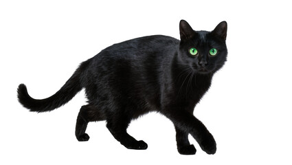 Graceful black cat with vivid green eyes, walking forward, looking directly at the viewer, isolated PNG on transparent background, ideal for pet-related projects © Marta