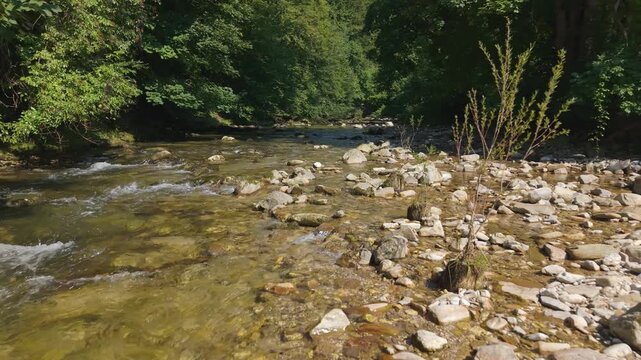 Aerial shot of Aurach river with clear water and stones in Altmunster, Austria