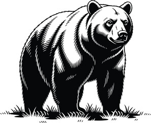 Obraz premium Majestic Forest Bear Illustration Black White Design