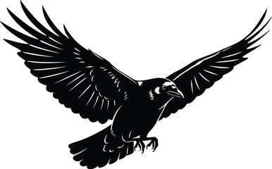 Fototapeta premium Majestic black bird soaring with wings wide open