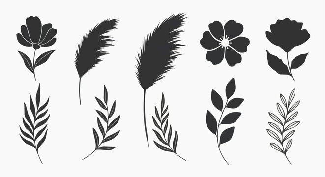 Set of minimalist botanical silhouette icons featuring various types of dark floral and leafy elements including pampas grass, ferns, and simple blossoms for modern rustic design.