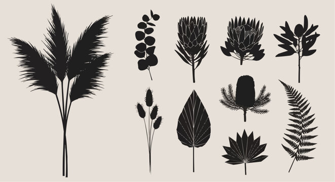 Collection of various stylized black botanical silhouettes including pampas grass, protea, eucalyptus, fern, and tropical leaves ideal for modern minimalist design elements.