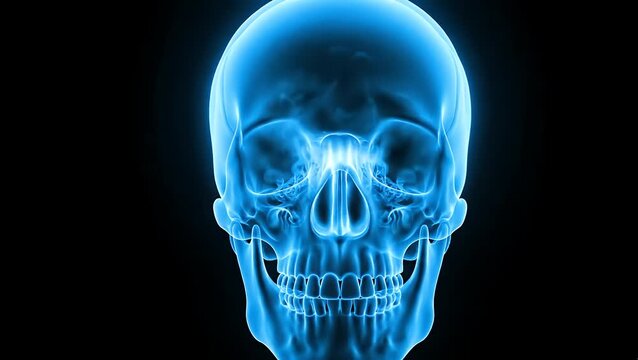 Glowing blue x-ray skull front view on black background, science and medical concept.