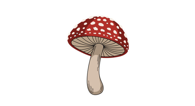A simple hand-drawn illustration of a single red and white amanita muscaria mushroom, also known as a fly agaric toadstool.