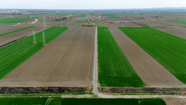 Aerial view of the patchwork of green and brown fields, divided by narrow paths, creating a geometric tapestry under a soft sky, Sremska Mitrovica, Vojvodina, Serbia.