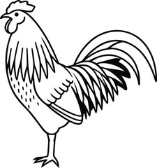 Vector illustration of a proud rooster and farm animal bird isolated on white background featuring a cartoon cockerel with detailed feathers and beak © Sariful
