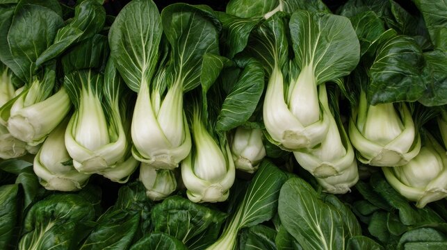 Close up of fresh bok choy vegetable with green leaves, healthy food, organic produce, leafy texture, natural freshness, raw ingredient, diet nutrition, farm harvest concept, clean eating