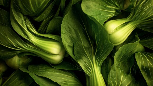 Close up of fresh bok choy vegetable with green leaves, healthy food, organic produce, leafy texture, natural freshness, raw ingredient, diet nutrition, farm harvest concept, clean eating