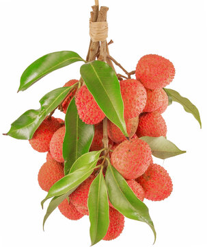 Grappe de litchis 