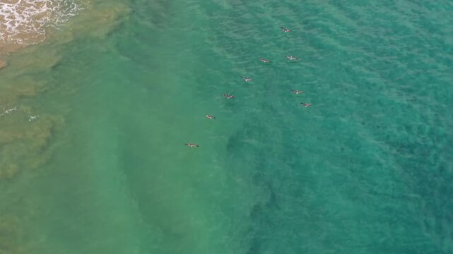 Top down drone view of seabirds flying in V formation over turquoise Pacific water near Santa Marianita coast, Ecuador.