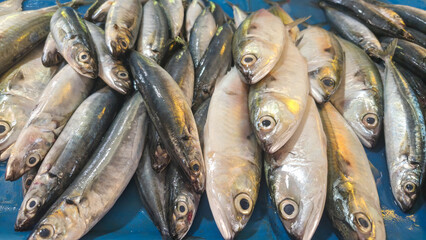 Fototapeta premium fresh fish at the traditional market
