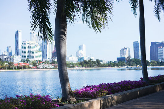 Benjakitti Park in Bangkok, with palm trees visible in front of the lake. Greener Bangkok.