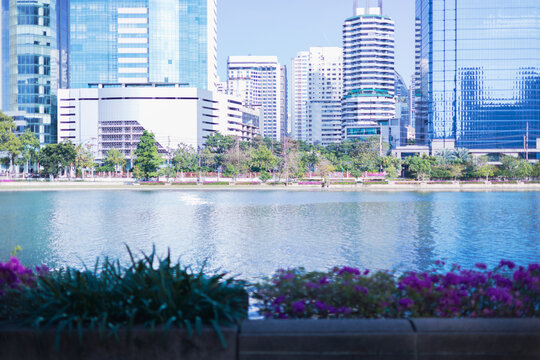 Beautiful lake view with green shrubs and skyscrapers cityscape in Bangkok. Benjakitti Park.