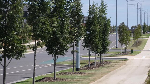 Street trees lining a newly developed road in Manor Lakes, Melbourne, Australia, featuring planned landscaping and modern suburban infrastructure. A clean street with young trees offering shade canopy