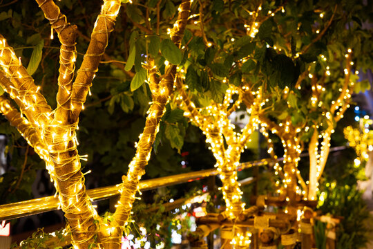 Tree branches wrapped with glowing string lights at night during the festive season.