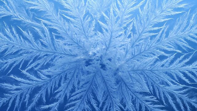 Delicate ice crystal art on blue background