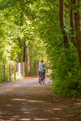 Obraz premium Person riding a bicycle along a tree-lined path in woodland. An elderly woman cycling. Scenic nature trail with dappled sunlight and fresh greenery.