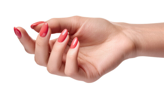 Elegant female hand with perfectly manicured long coral pink nails, gracefully posed and isolated on a transparent background, beauty and fashion concept