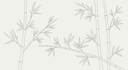 Obraz premium Elegant White Bamboo Stalks and Leaves Illustration.