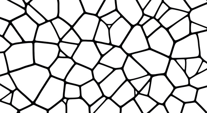 Voronoi geometric pattern vector, abstract organic cell structure background, black and white mosaic texture design