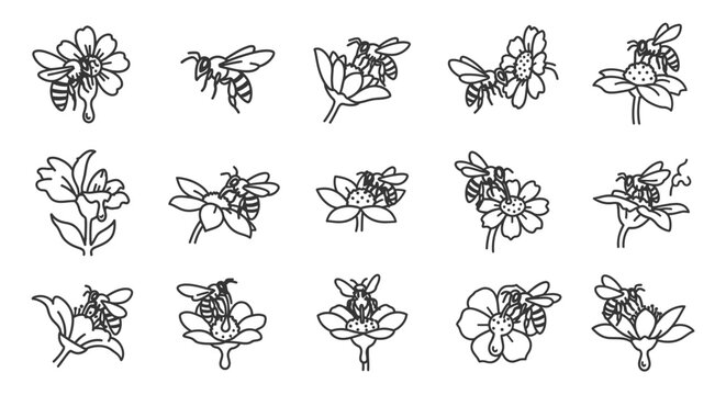 Bees flying around various flowers.