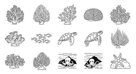 Collection of sea creatures and coral. © MUHRODIN