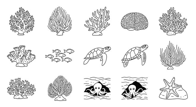 Collection of sea creatures and coral.