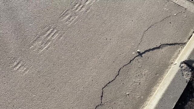 4K urban asphalt road texture with cracks, curb, spring sprouts, minimal background, copy space