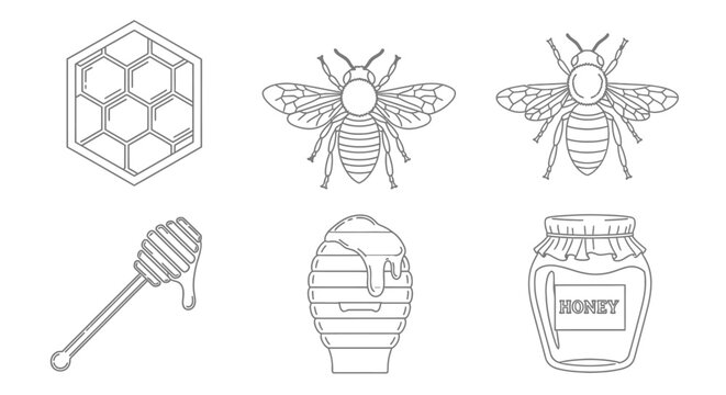 Honey bee and honey icons set.