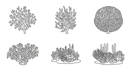 Detailed illustrations of various coral reef. © MUHRODIN